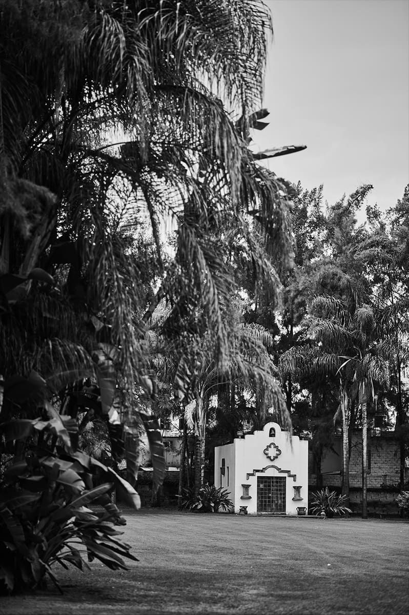 Capilla pequeña de fachada blanca entre palmeras altas, en blanco y negro