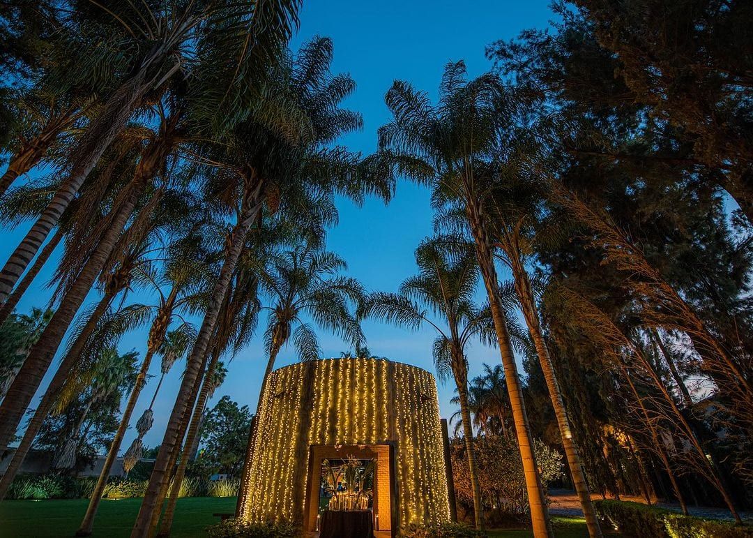 Jardín de noche entre palmeras altas, con el cilindro de concreto iluminado por hilos de luz