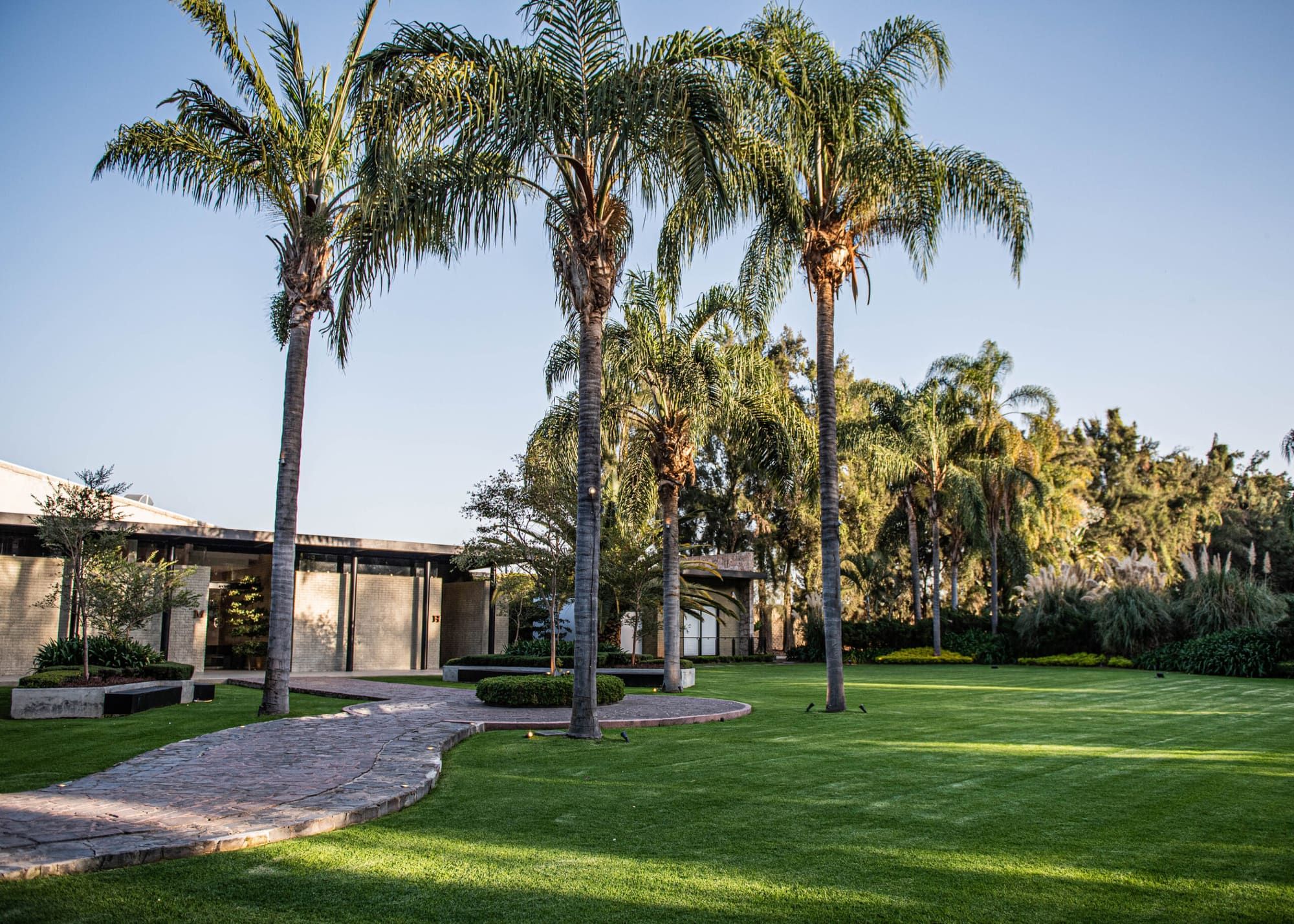 Jardín amplio con palmeras altas, camino de piedra y el salón al fondo